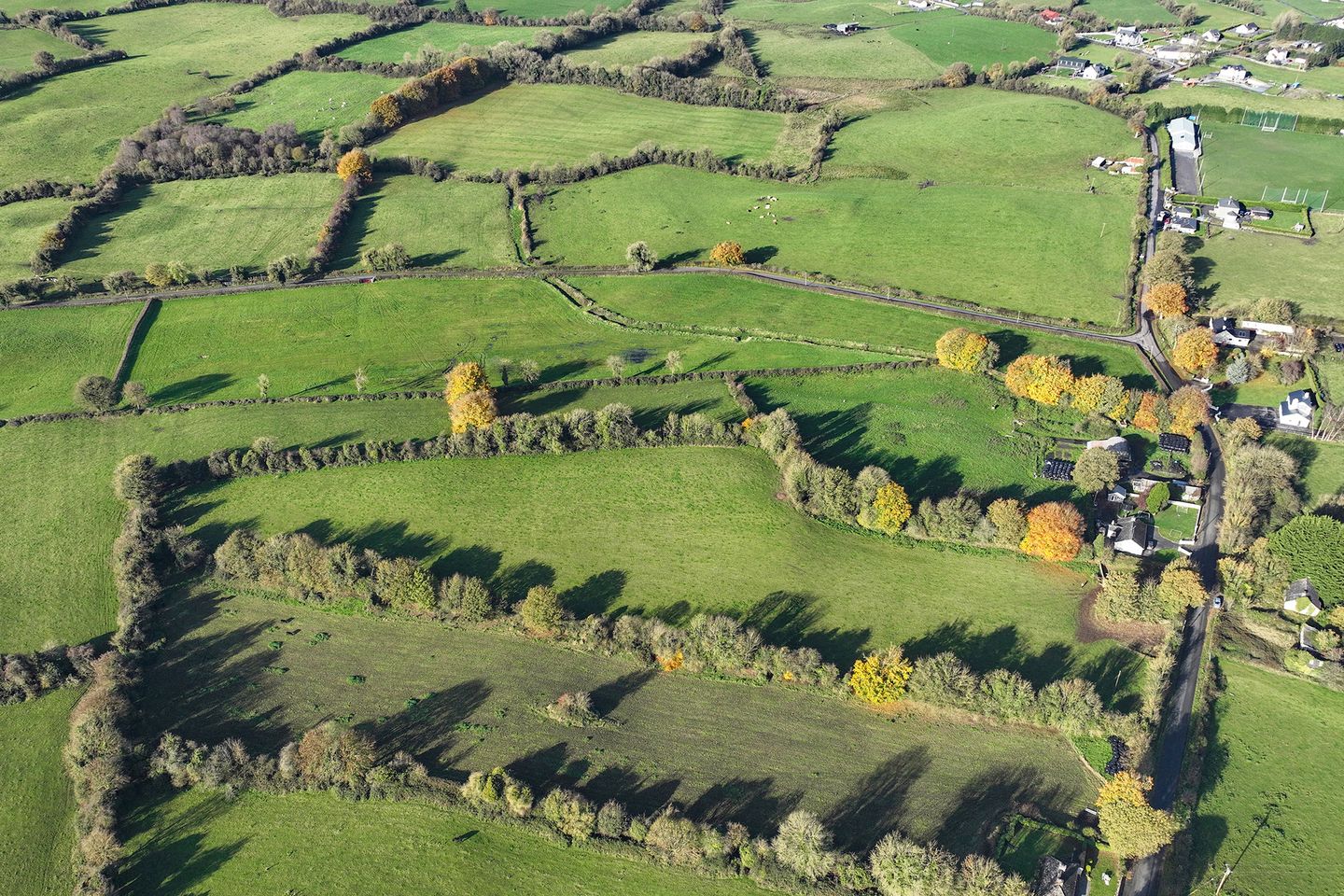 Commercial property for sale in Archerstown, Delvin, Co. Westmeath