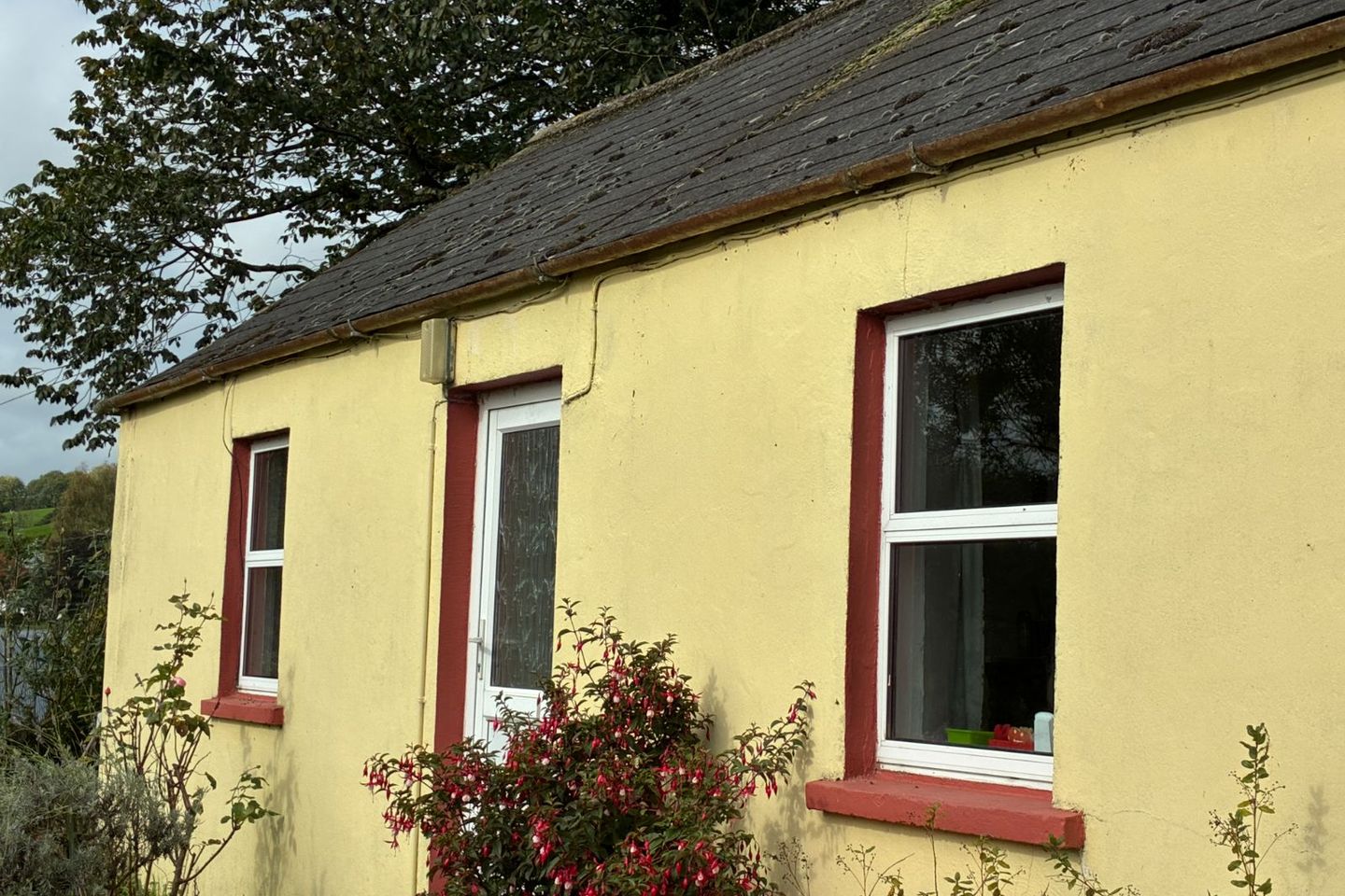 Ballinlovane, Ballyduff, Ballyduff, Co. Waterford, P51C2D1