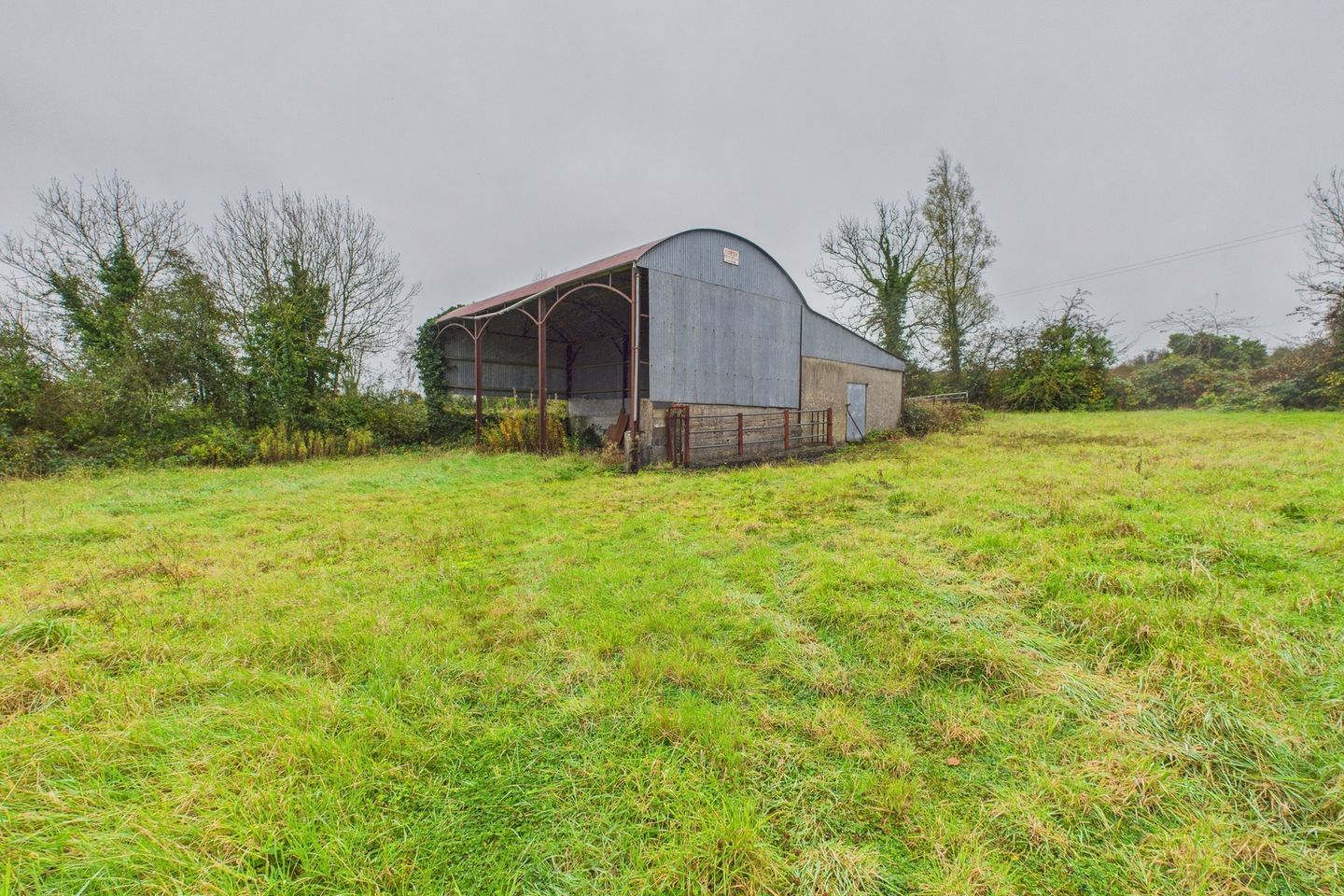 6.5 acres at Lissavruggy, Newbridge, Ballinasloe, Co. Galway, H53YT67