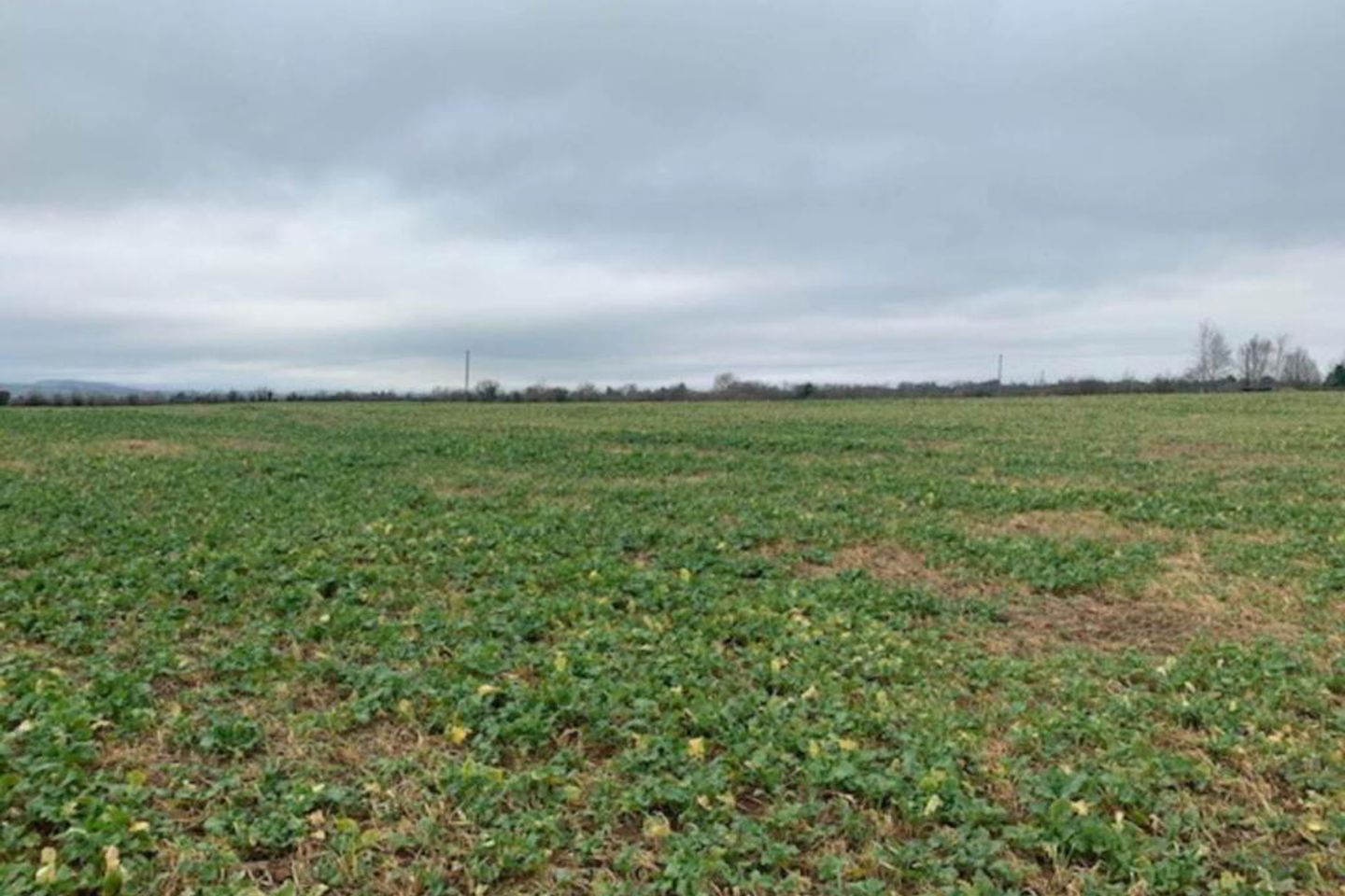 9 Acres, Boolagelagh, Ballycommon, Co. Tipperary