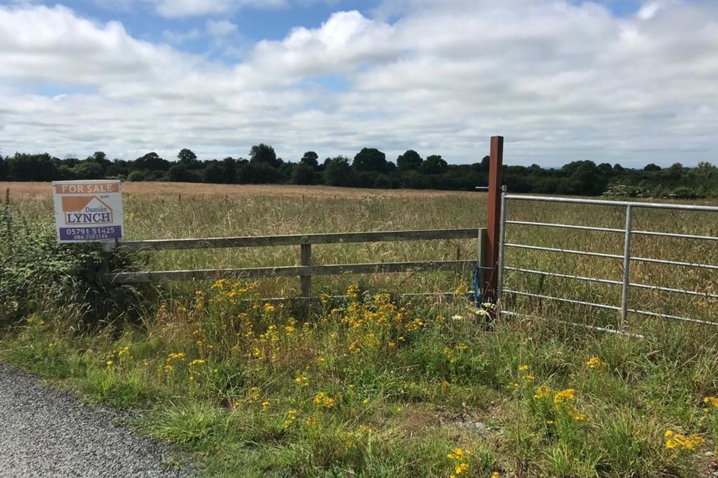 Ballylina East, Borrisokane, Co. Tipperary