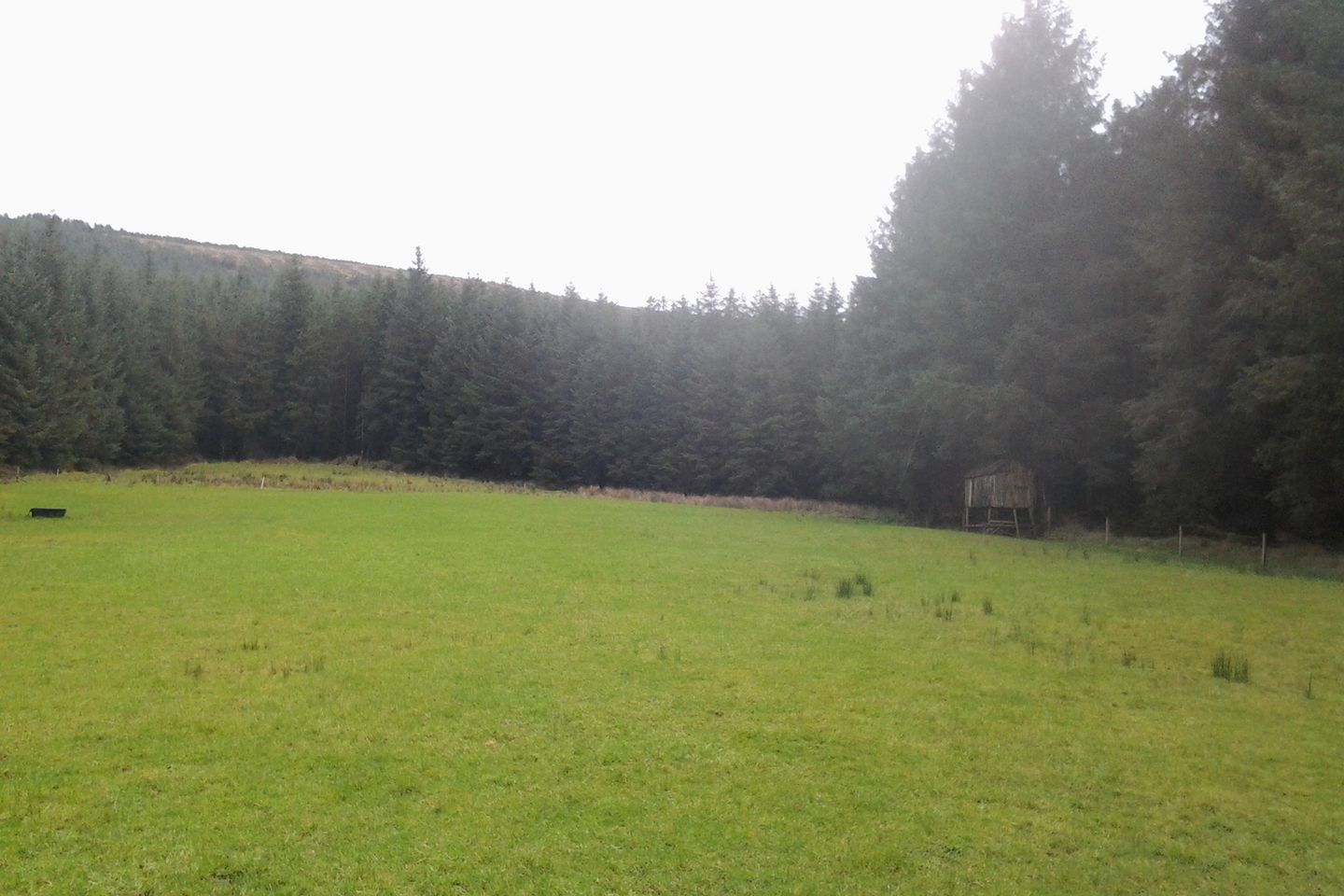 Site B Shielstown, Knockananna, Co. Wicklow