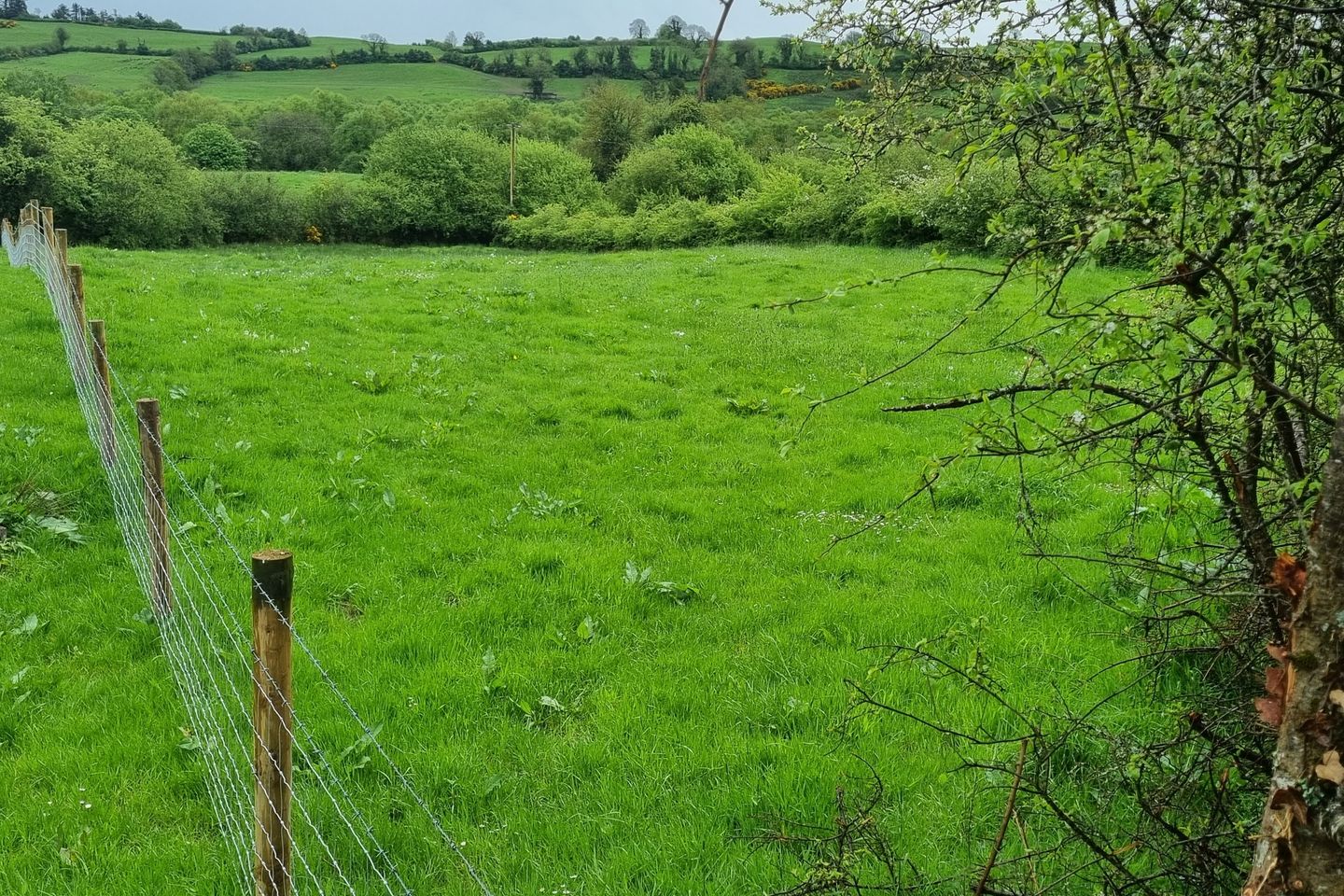 Fahymore, Kilmore, O'Briensbridge, Co. Clare, V94A034