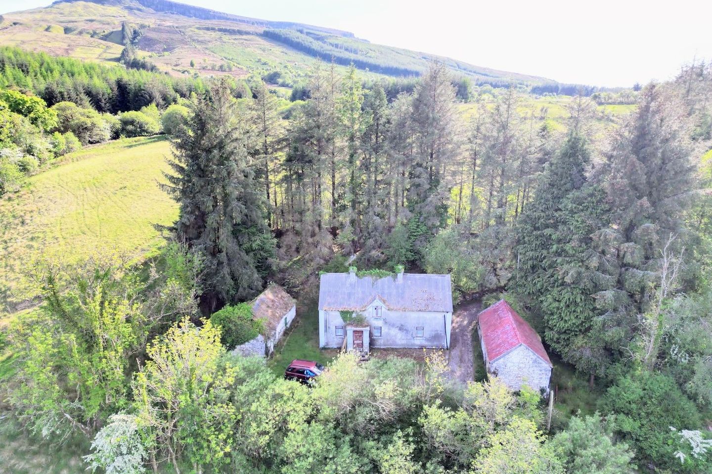 Coppanaghbane, Glangevlin, Co. Cavan, N41Y003