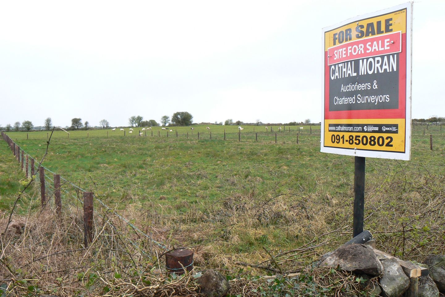 Garrauncreen, Abbeyknockmoy, Co. Galway is for sale on Daft.ie