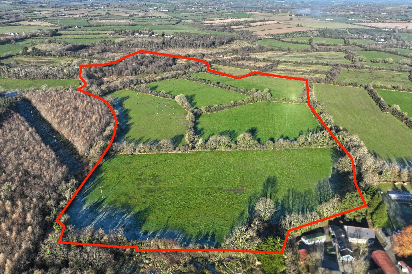 Commercial property for sale in Cloonagh, Gusserane, Co. Wexford