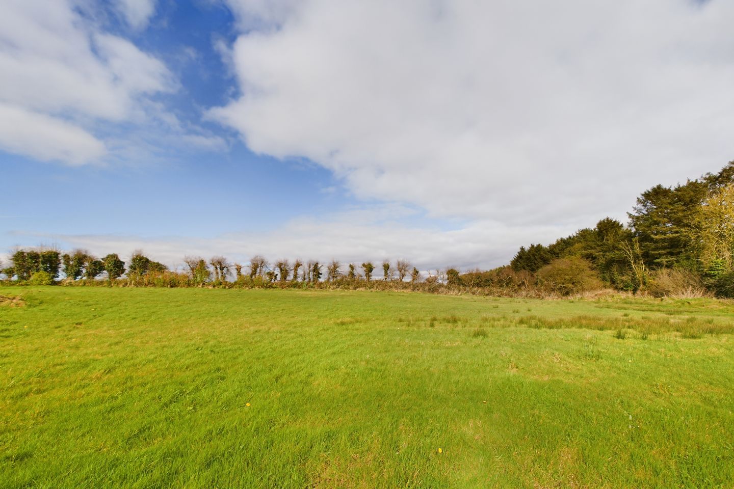 Commercial property for sale in Haggard, Ramsgrange, Co. Wexford, Y34P267