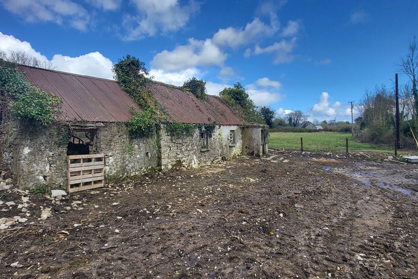 Clooneylyons, Strokestown, Co. is for sale on Daft.ie