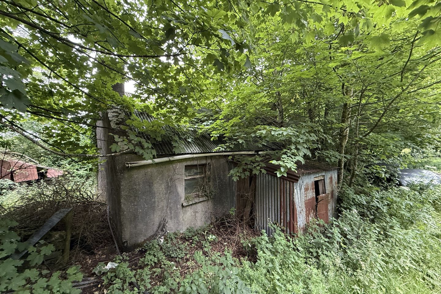Cornacarta, Tulrahan, Claremorris, Co. Mayo, F12X571