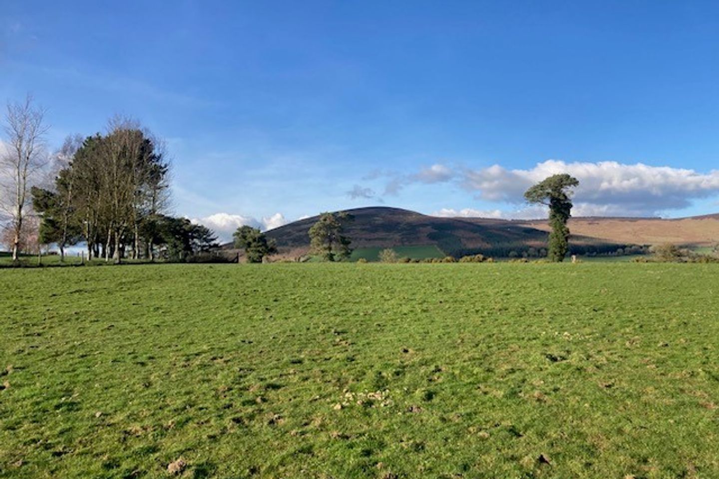 Commercial property for sale in Tinahely, Co. Wicklow