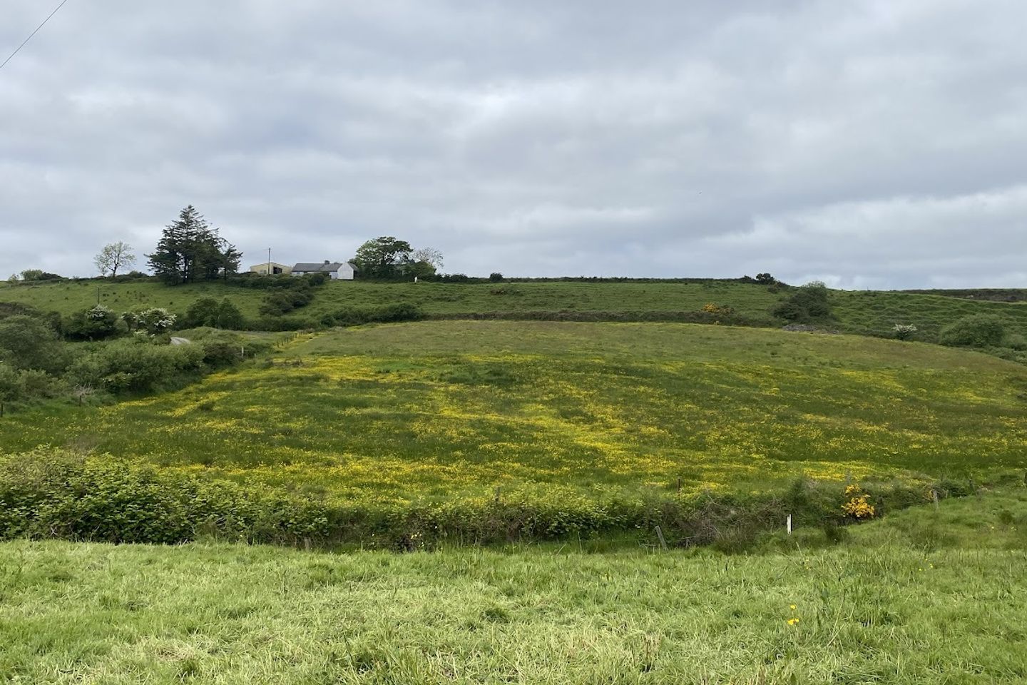 Dehomad, Lissycasey, Co. Clare