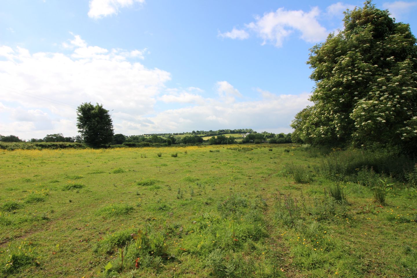 Commercial property for sale in Ballinagarde, Ballyneety, Co. Limerick