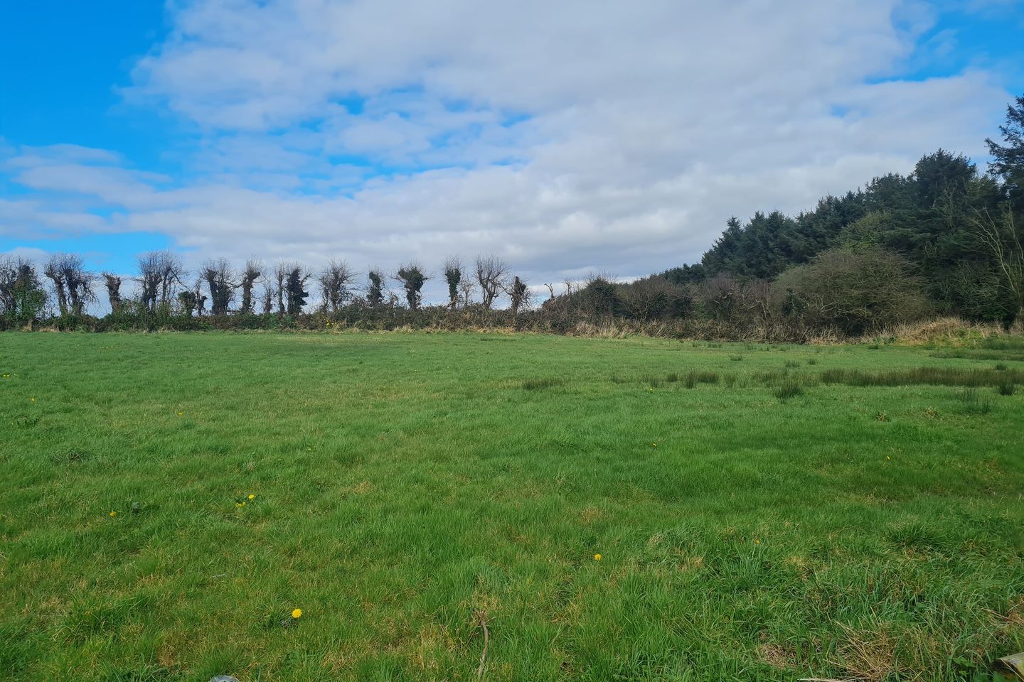 The Hollow, Haggard, Ramsgrange, New Ross, Co. Wexford, Y34P267 is for