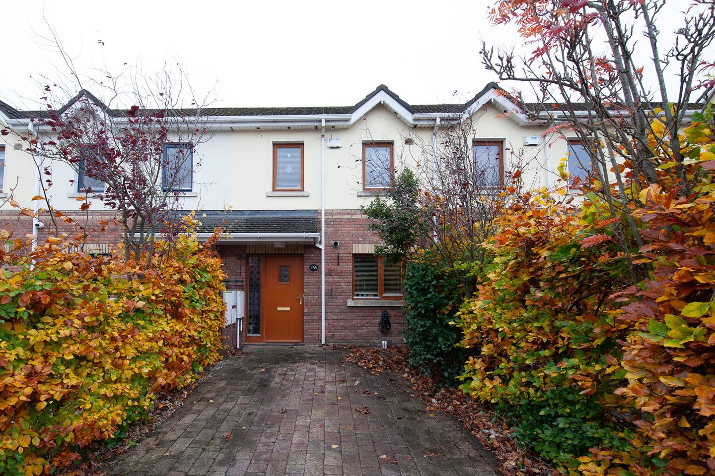 165 Oldbridge Station, Naas, Co. Kildare, W91HEA2