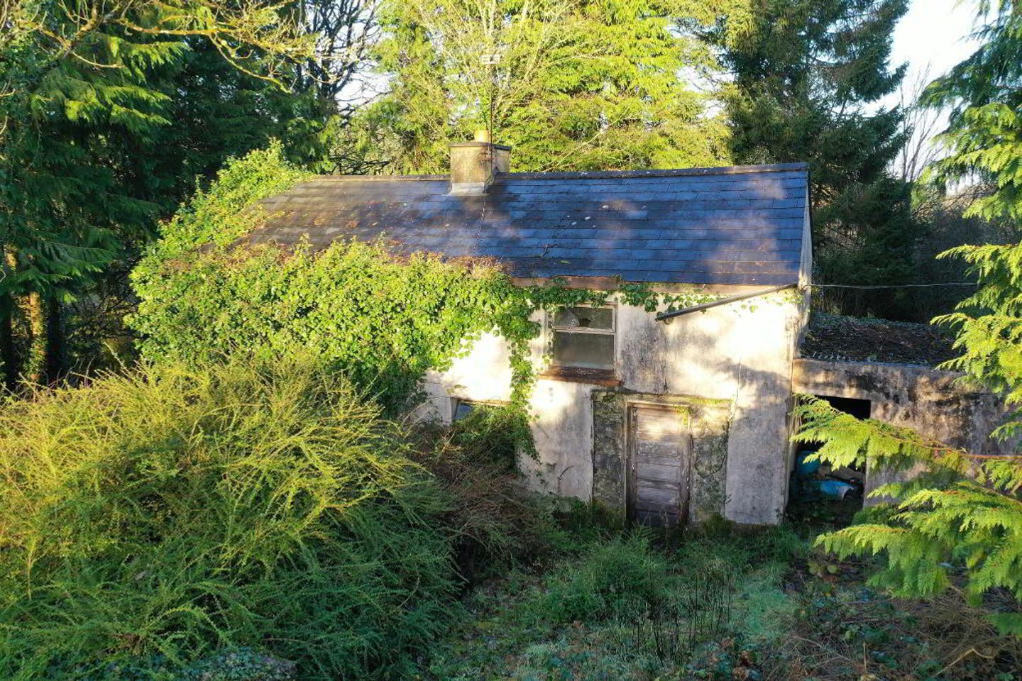 Finnor, Croghan, Co. F52F985 is for sale on Daft.ie