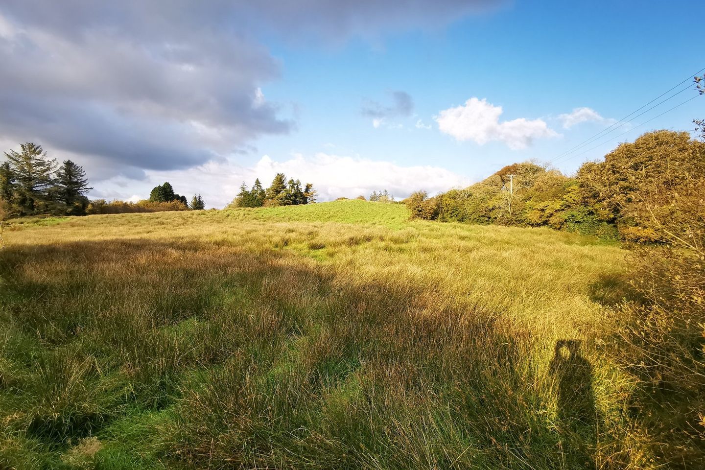 Commercial property for sale in Old Castlebar Road