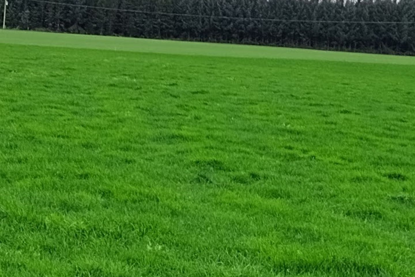 Commercial property for sale in Arklow area, Arklow, Co. Wicklow