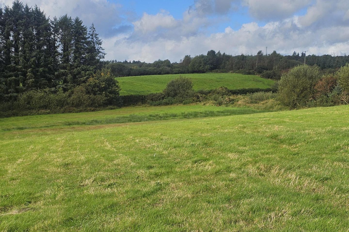 Ruhillmore West, Boherbue, Co. Cork