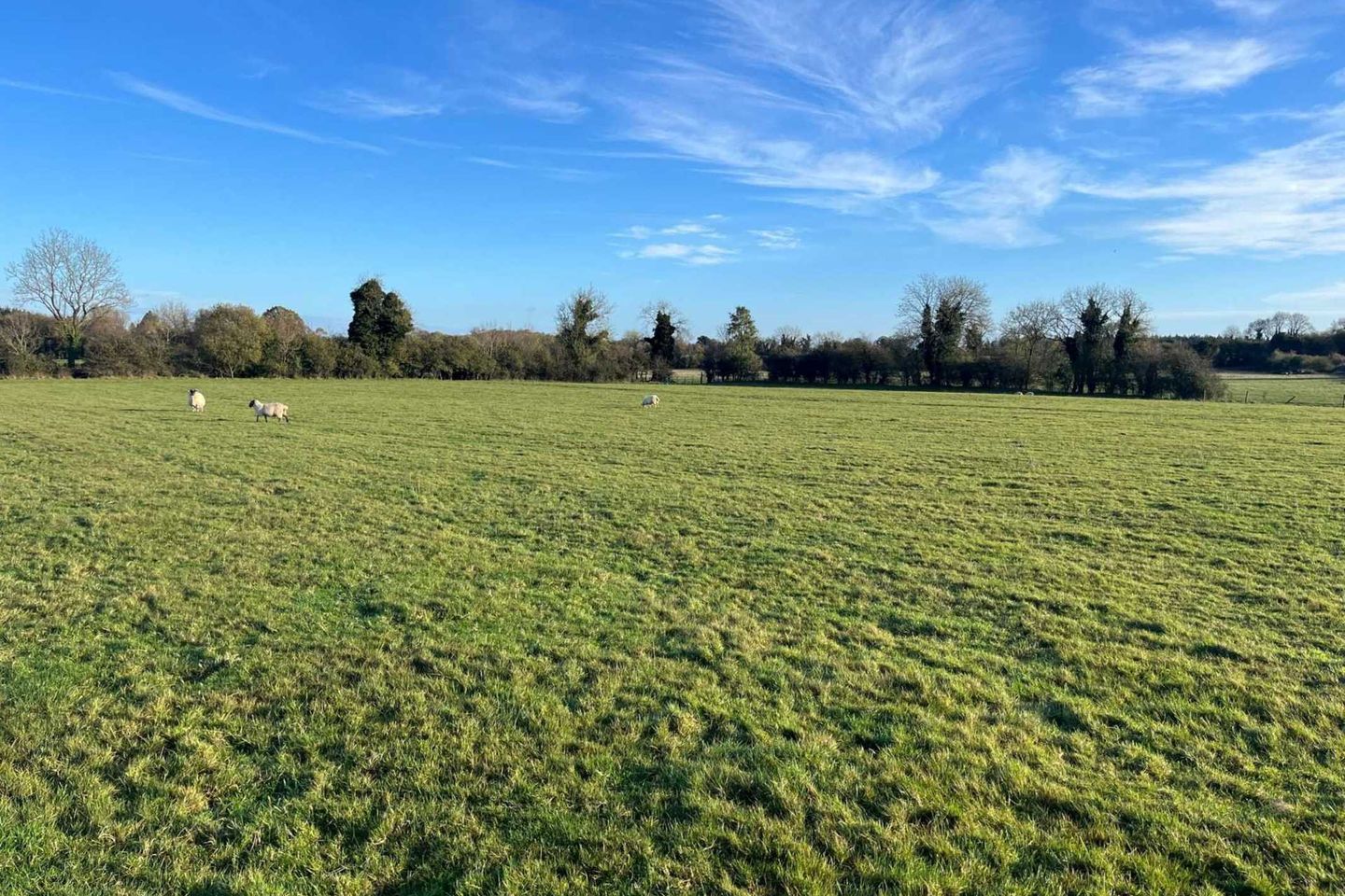 Commercial property for sale in Carbury, Co. Kildare