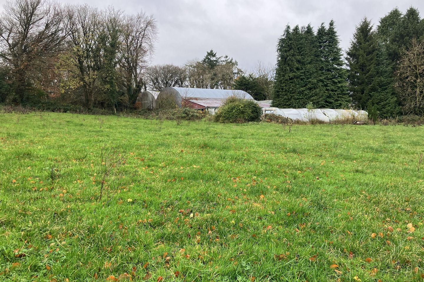 Commercial property for sale in Kilcolman, Dromahane, Co. Cork
