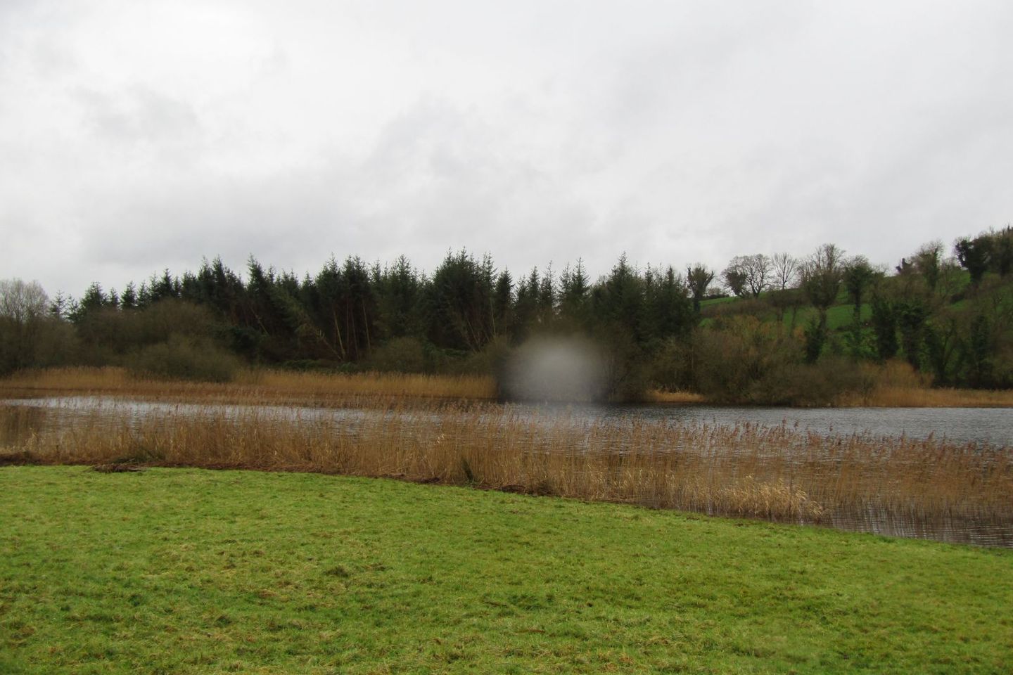 Creenagh, Killeshandra, Co. Cavan