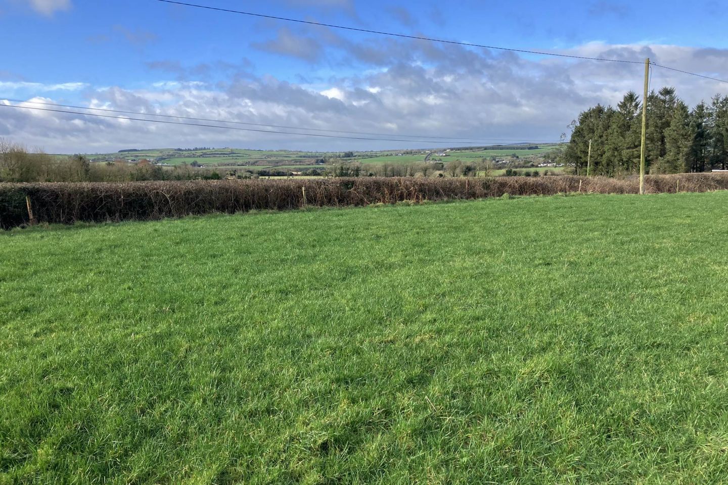 Monavarnogue, Killeagh, AUCTION CANCELLED, Inch, Co. Cork, P36D602