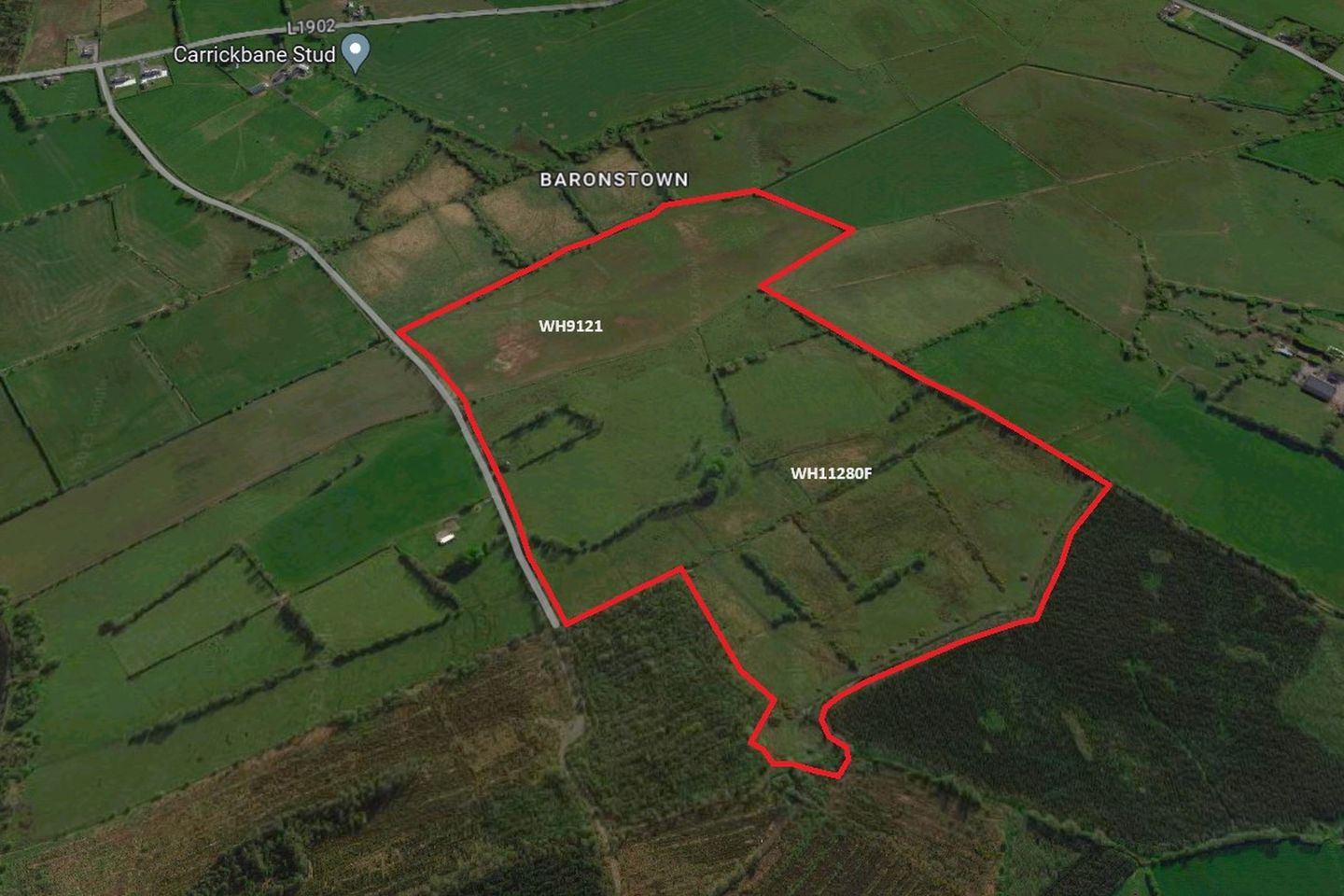 Commercial property for sale in 63 acres (for lease) at Baronstown