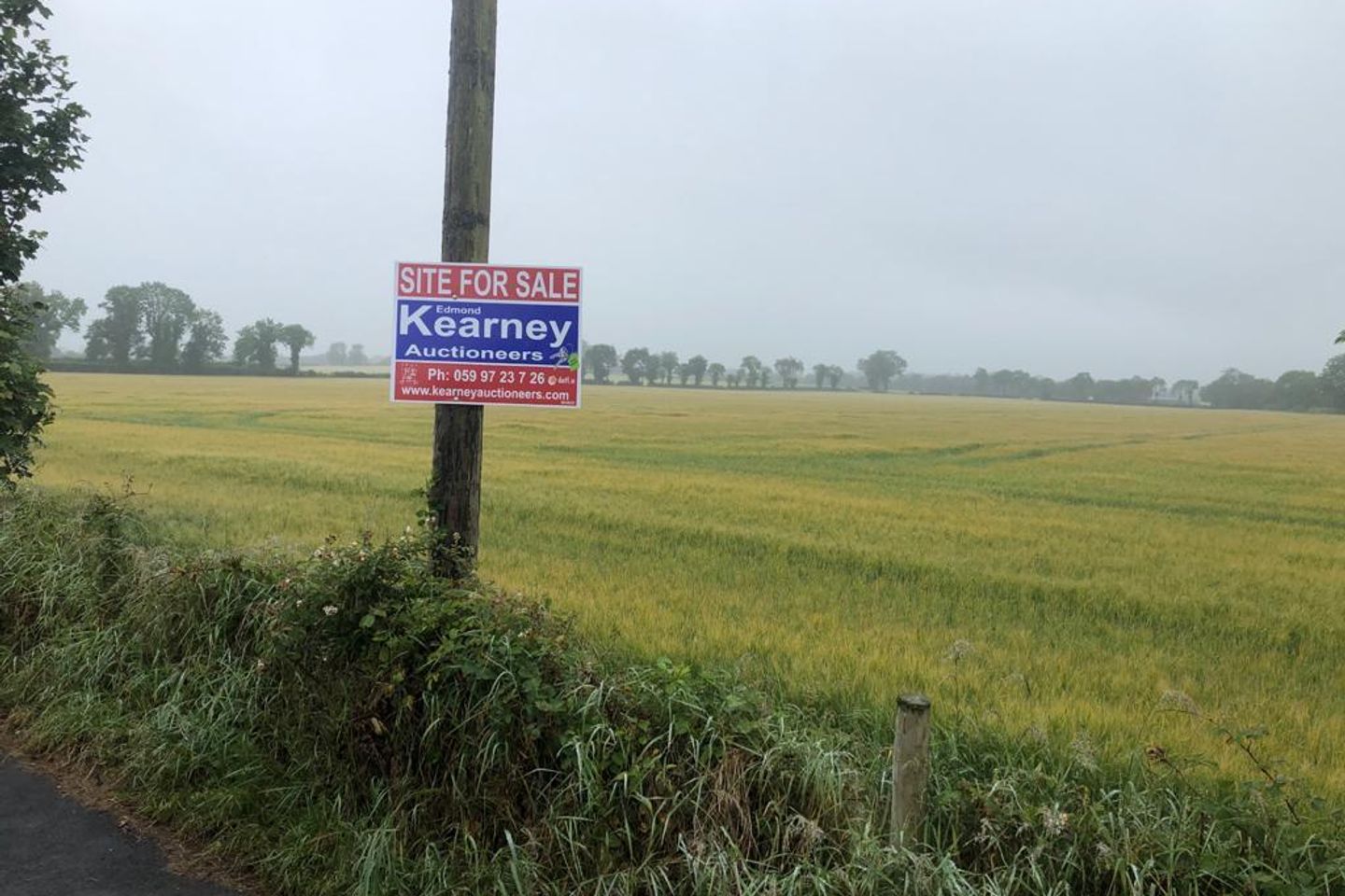 Kilconnor, Fenagh, Co. Carlow