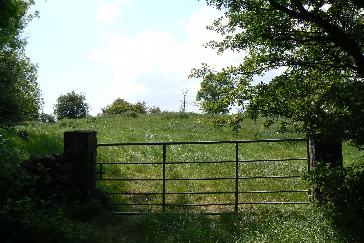 Carnmore West , Oranmore, Carnmore, Co. Galway
