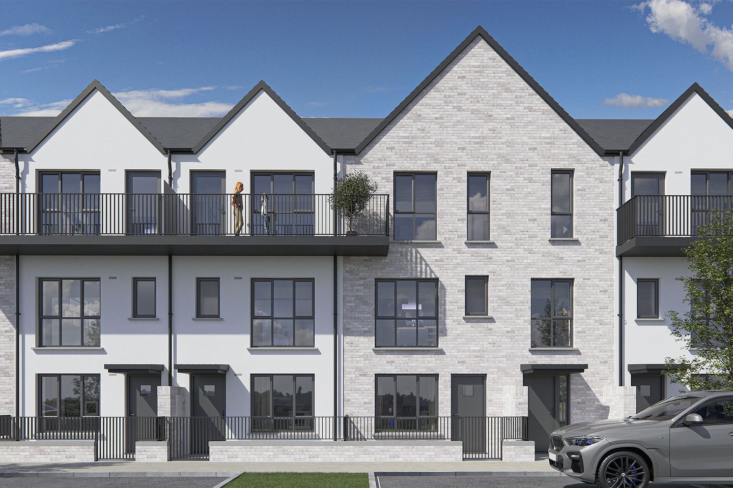 The Buckthorn , Balmoston, Balmoston, Donabate, Co. Dublin