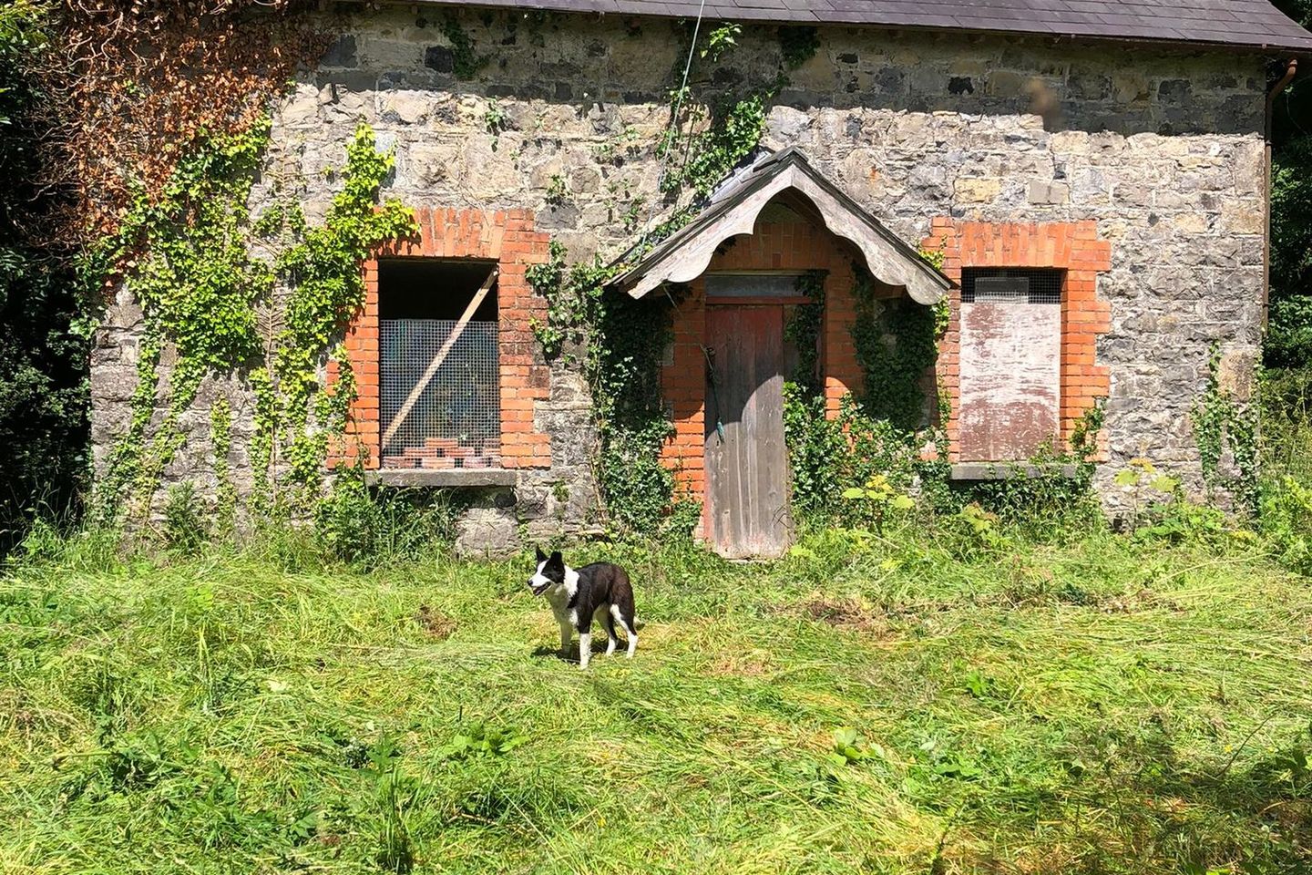 Williamstown, Coole, Co. Westmeath is for sale on Daft.ie