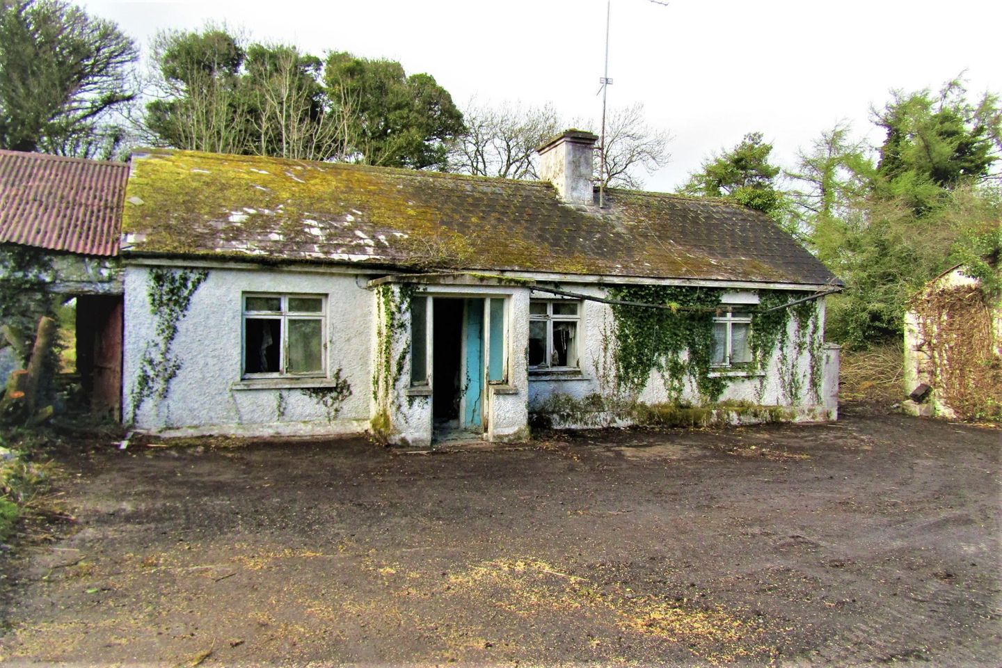 Dernaferst, Lough Gowna, Co. Cavan