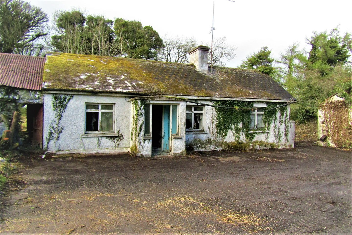 Dernaferst, Lough Gowna, Co. Cavan, H12NY73 is for sale on Daft.ie