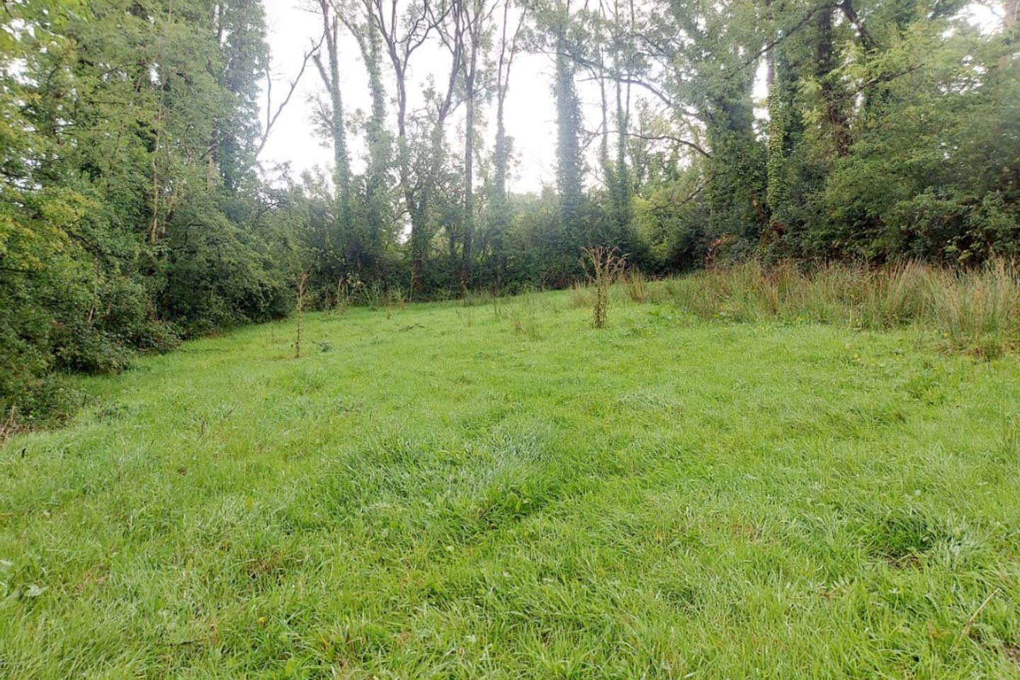 Ayle, Feakle, Co. Clare