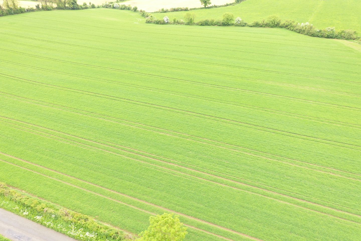 Commercial property for sale in Lisleagh, Ballyclough, Mallow, Co. Cork