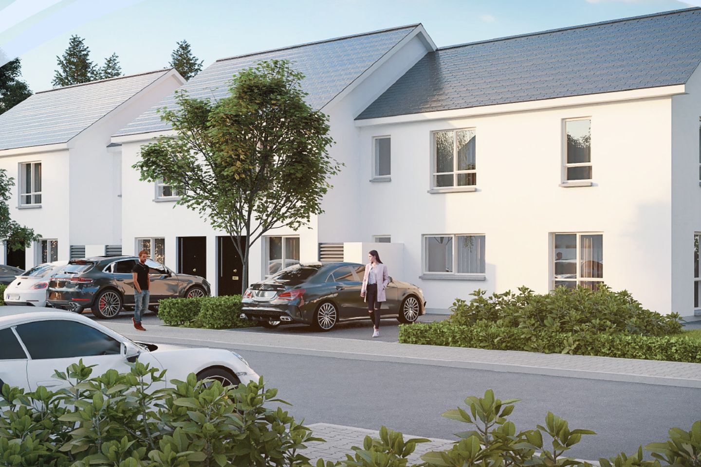 D.C. Manor Ltd, D.C. Manor Ltd, Woodfield Manor, Newcastle West, Co