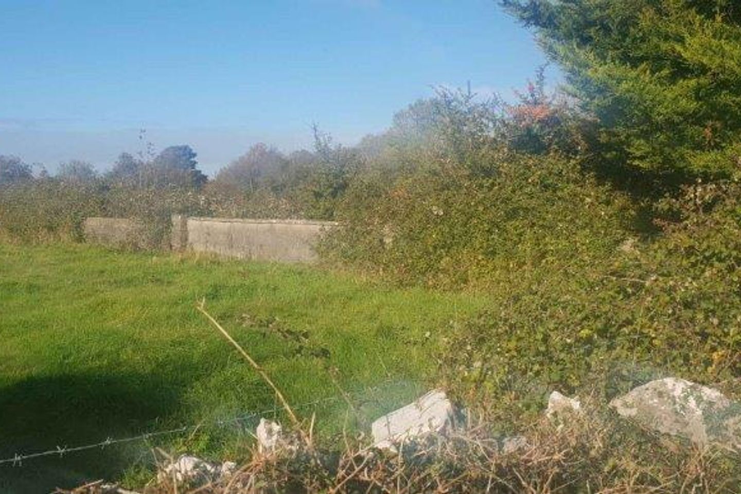 Ballybricken South, Grange, Co. Limerick is for sale on Daft.ie