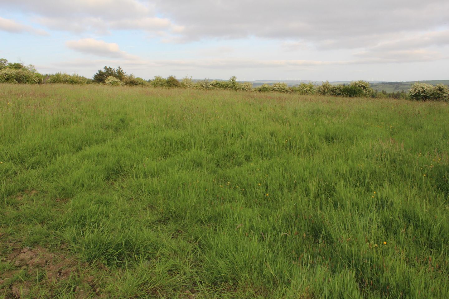 Caherlane, Abbeyfeale, Co. Limerick is for sale on Daft.ie