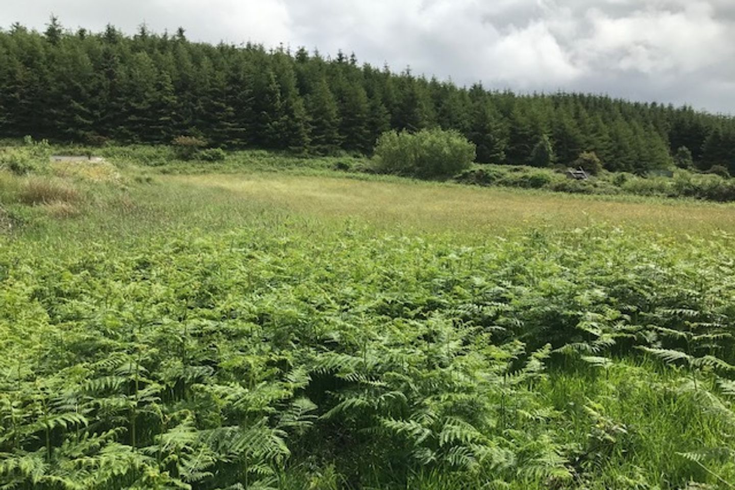 Formoyle, Kilmore, Co. Clare, V94308W is for sale on Daft.ie