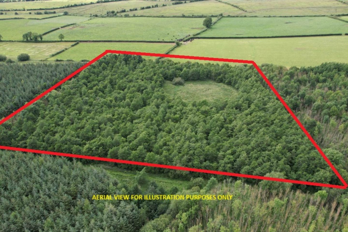 Rathmore South, Meanus, Kilmallock, Co. Limerick