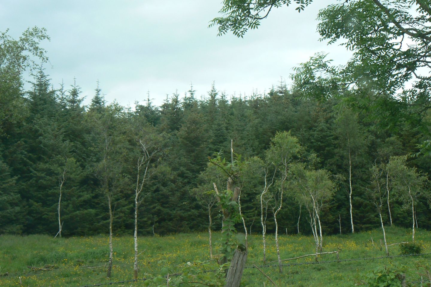 Commercial property for sale in Cloonkeen, Athenry, Co. Galway