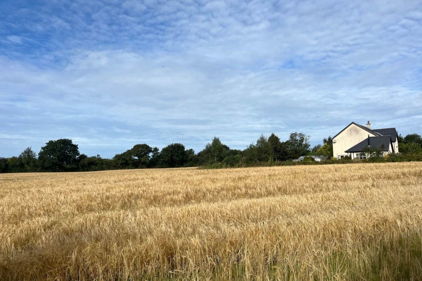 Ballyeden (C. 0.75 Acre Site), Camolin, Co. Wexford