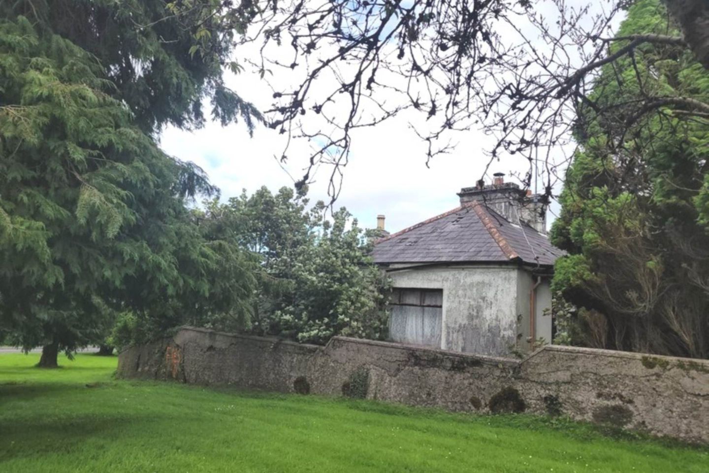 Knockroe, Castlerea, Co. Roscommon, Castlerea, Co. Roscommon, F45FW24