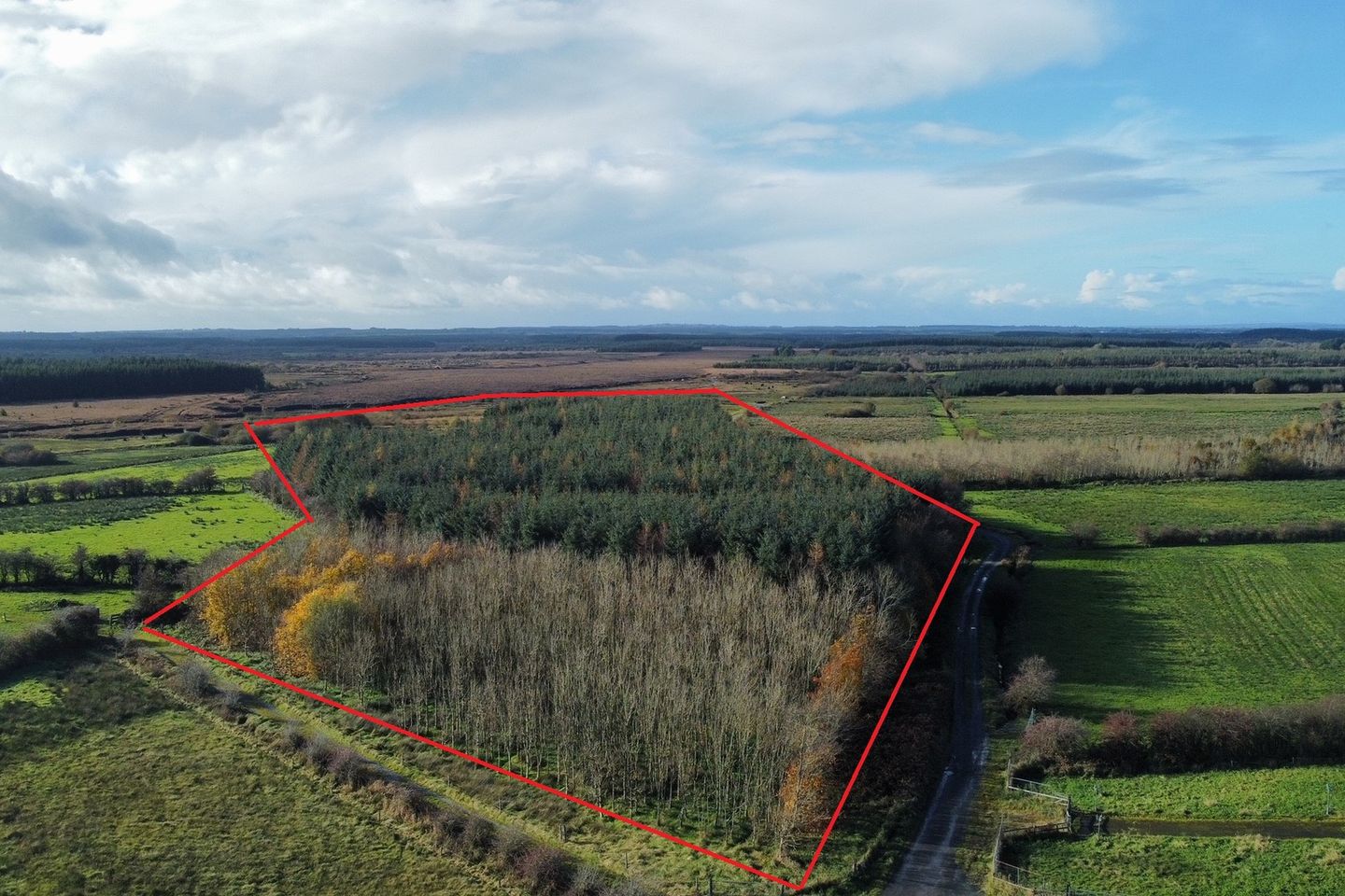 Commercial property for sale in Runnacocka, Elphin, Co.