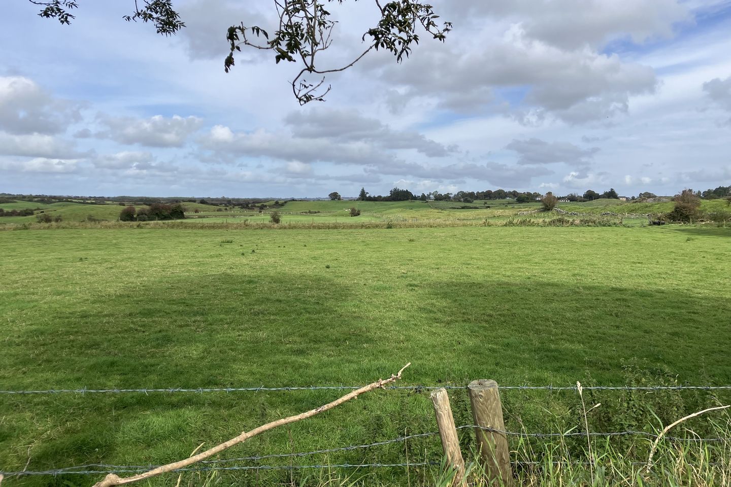 Lenamore, Dunmore, Co. Galway