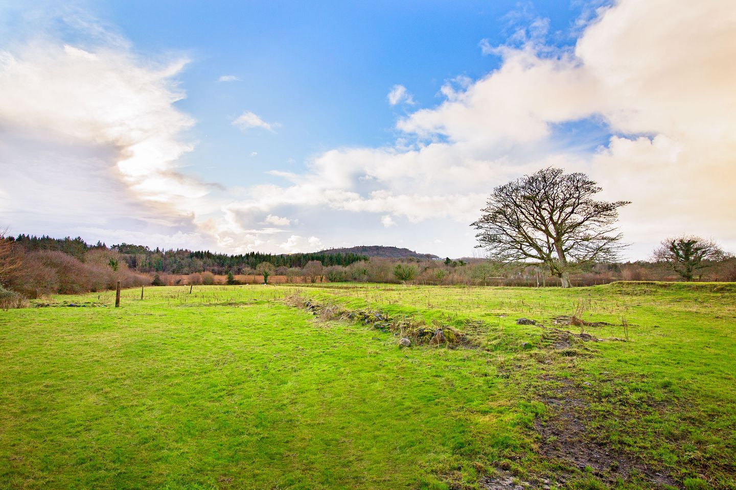3.28 Acres (1.33 Hectares), Hazelwood, Sligo