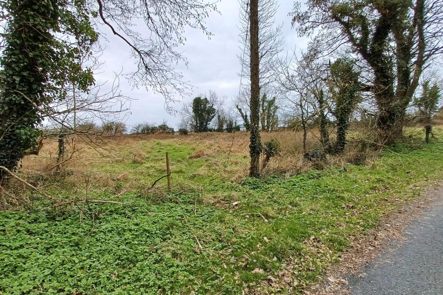 .32ha / .79ac Site, Kinreask, Gurteen, Ballinasloe, Galway, H53D720 is