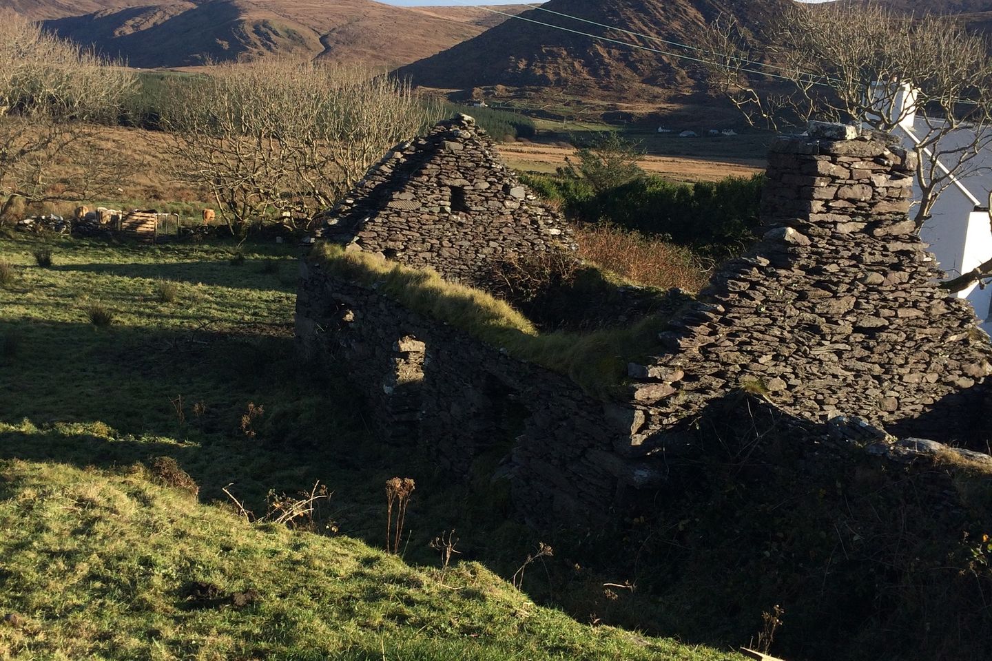 Commercial property for sale in Ardkearagh, Waterville, Co. Kerry