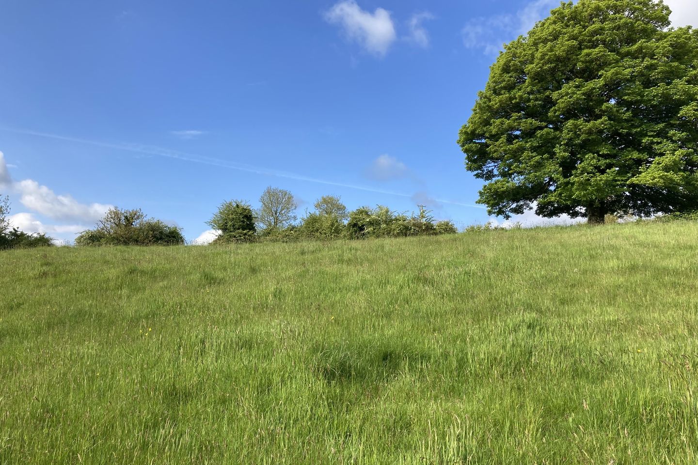 Commercial property for sale in Knocknagoriff, Borrisoleigh, Co. Tipperary