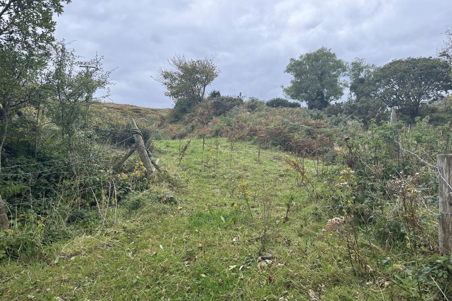 Ref 1147 - Lands at Brackaharagh, Caherdaniel, Co. Kerry